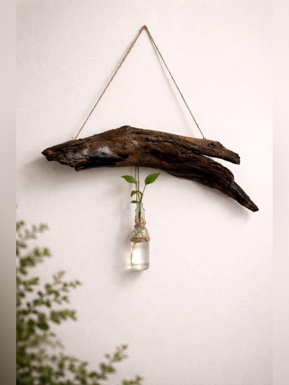 Handcrafted Driftwood Wall Hanging with Glass Bud Vase - Brown